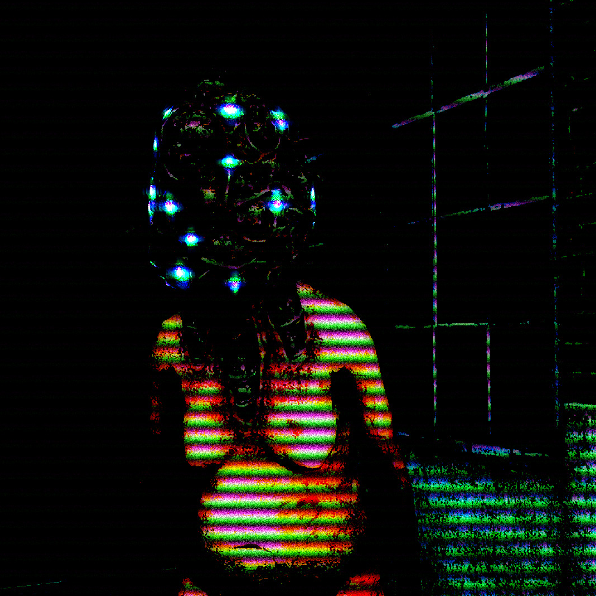 Vessel — Twelve-Lens Ocular Array